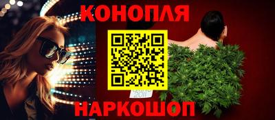 Альфа ПВП Дубна