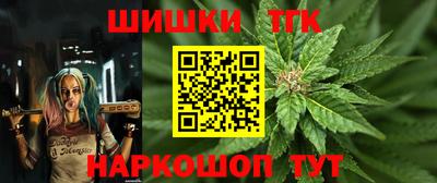 Альфа ПВП Дубна
