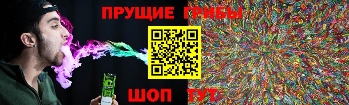 Псилоцибиновые грибы Psilocybe Курск